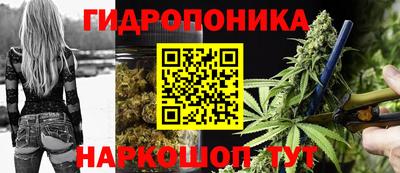 PSILOCYBIN Бугуруслан