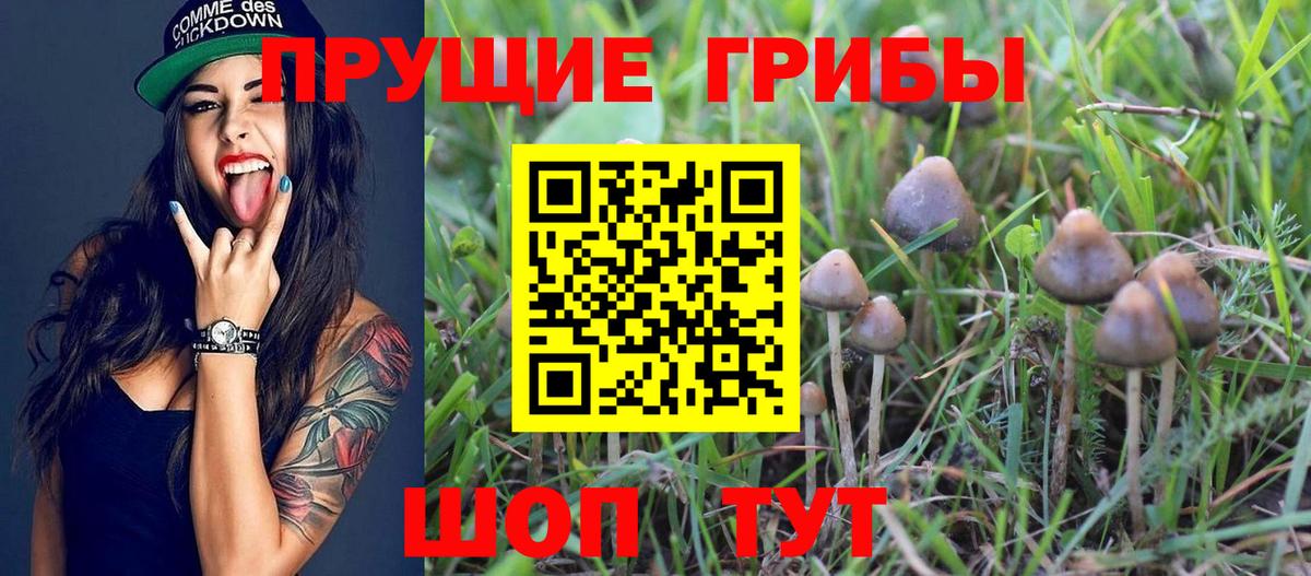 Псилоцибиновые грибы ЛСД  Вход с VPN  Находка  Галлюциногенные грибы ЛСД 